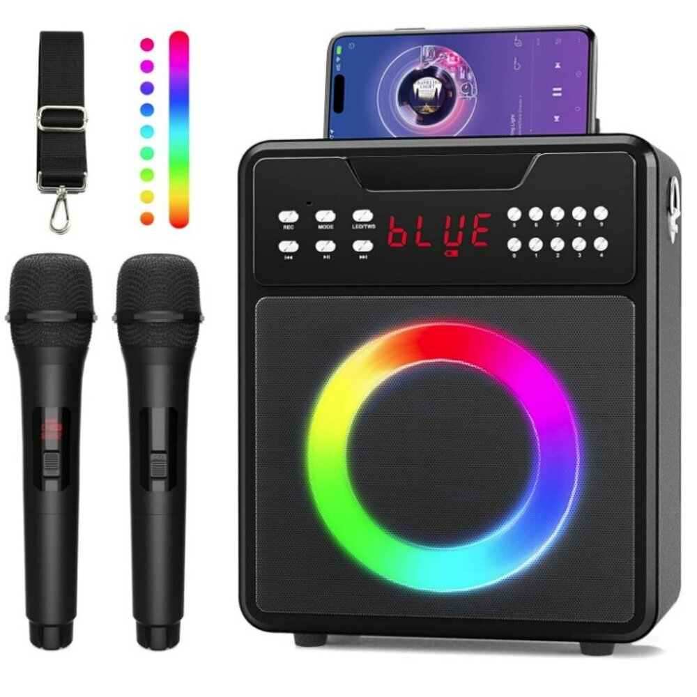 Karaoke Machine for Adults & Kids